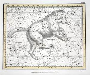 Die Sternbilder (Tafel VI) Ursa Major, aus 